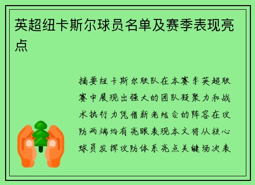 英超纽卡斯尔球员名单及赛季表现亮点