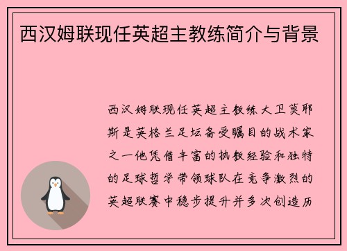 西汉姆联现任英超主教练简介与背景